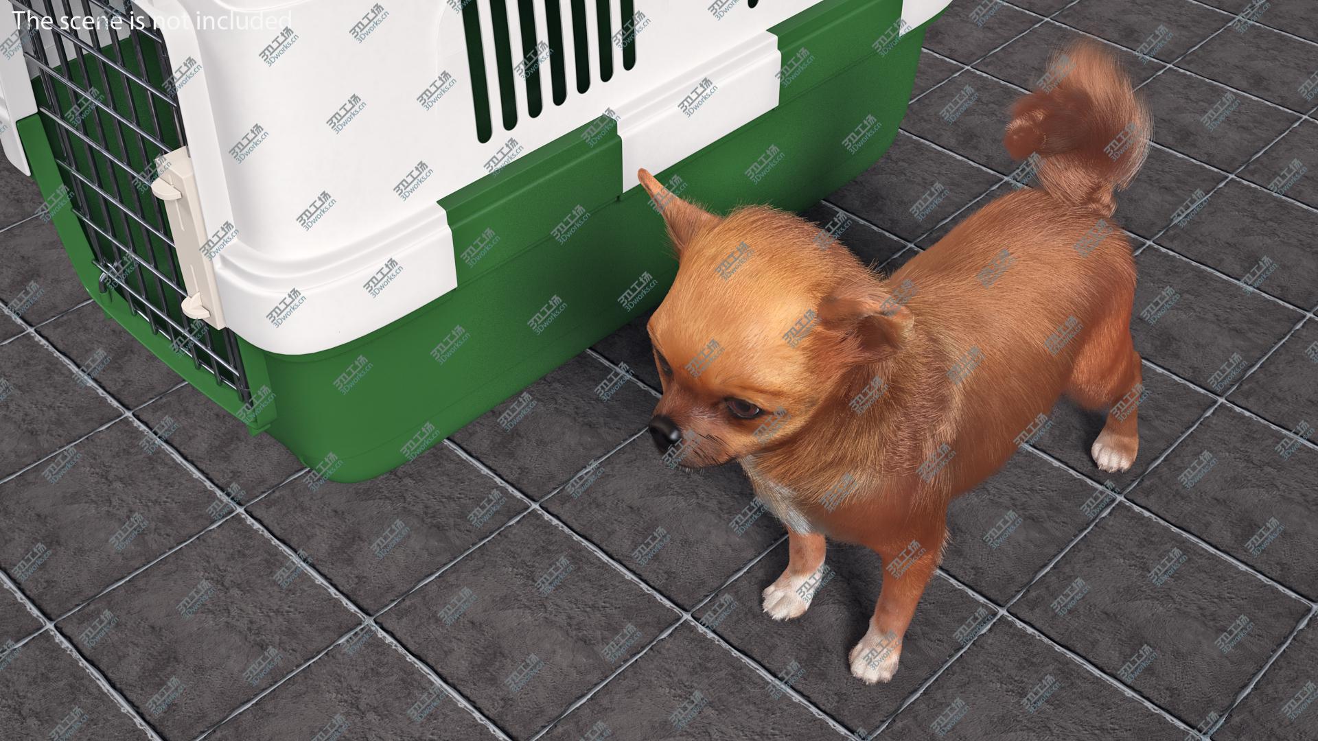 images/goods_img/20210319/Chihuahua in the Pet Carrier with Fur 3D model/5.jpg